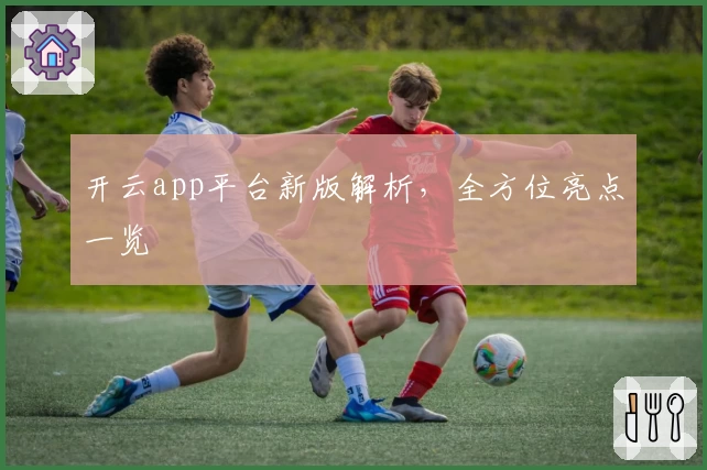 开云app平台新版解析，全方位亮点一览