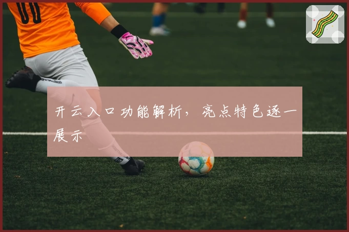 开云入口功能解析，亮点特色逐一展示