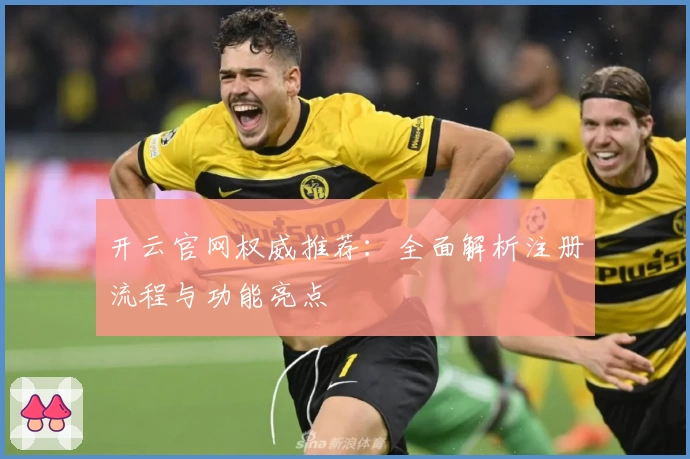 开云官网权威推荐：全面解析注册流程与功能亮点