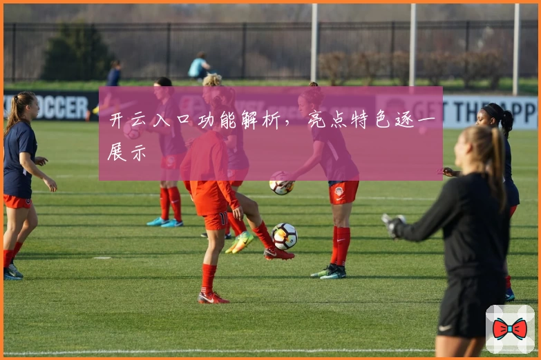 开云入口功能解析，亮点特色逐一展示