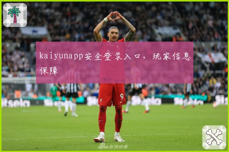kaiyunapp安全登录入口，玩家信息保障